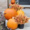6-Pack Artificial Fall Flowers & Boston Ferns – UV-Resistant Faux Plants for Outdoor Garden, Front Porch, Sidewalk, Window Boxes & Indoor Autumn Décor (Orange)